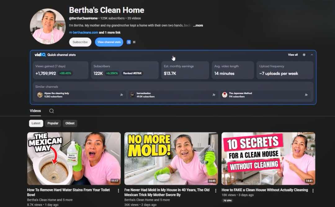 youtube频道：Bertha's Clean Home